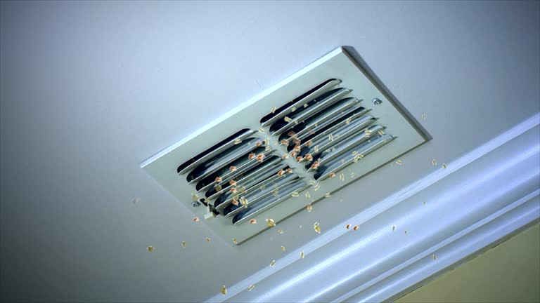 Best Ventilation Cleaning Services  in Canton, IL
