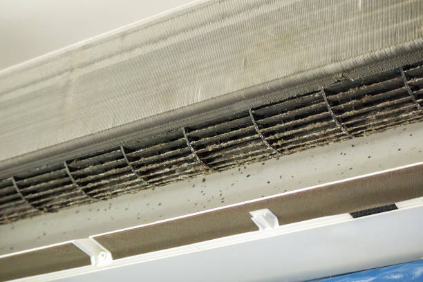 Best Ventilation Cleaning Services  in Canton, IL